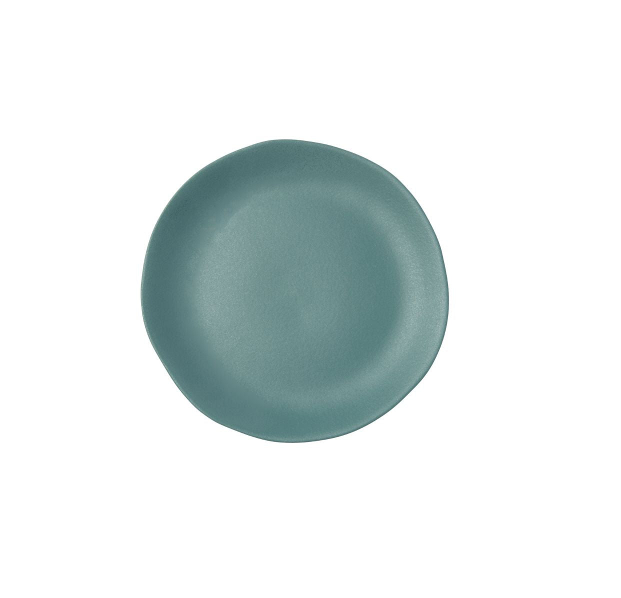 assiette-pain-poireau.jpg