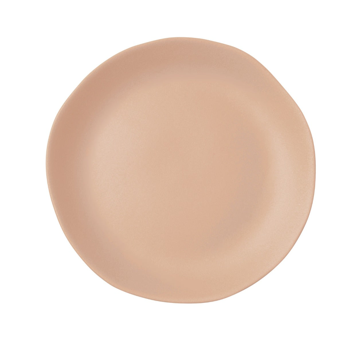 assiette-patisson.jpg