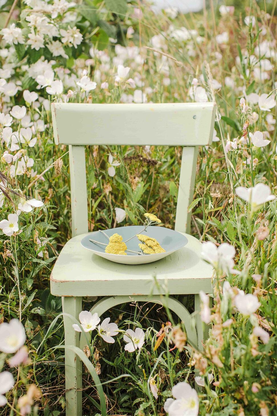 assiette creuse kale