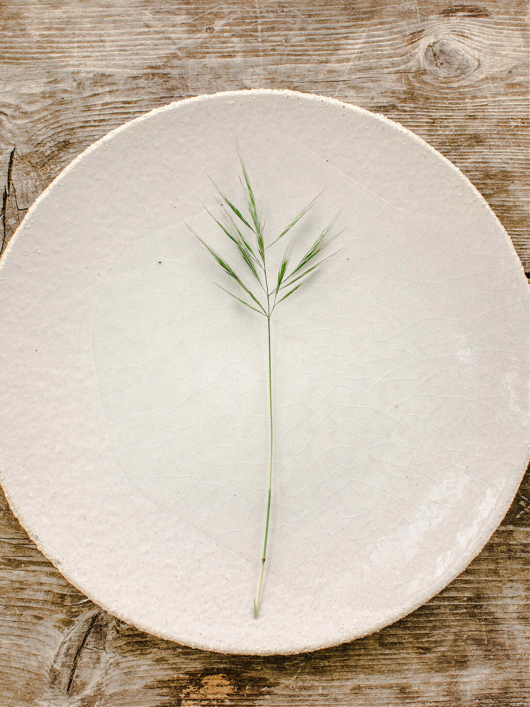 assiette ronde wabi blanc fabricant céramique