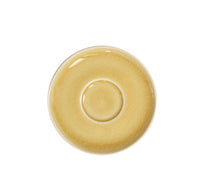 saucer genêt