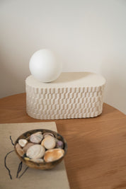 shell lamp