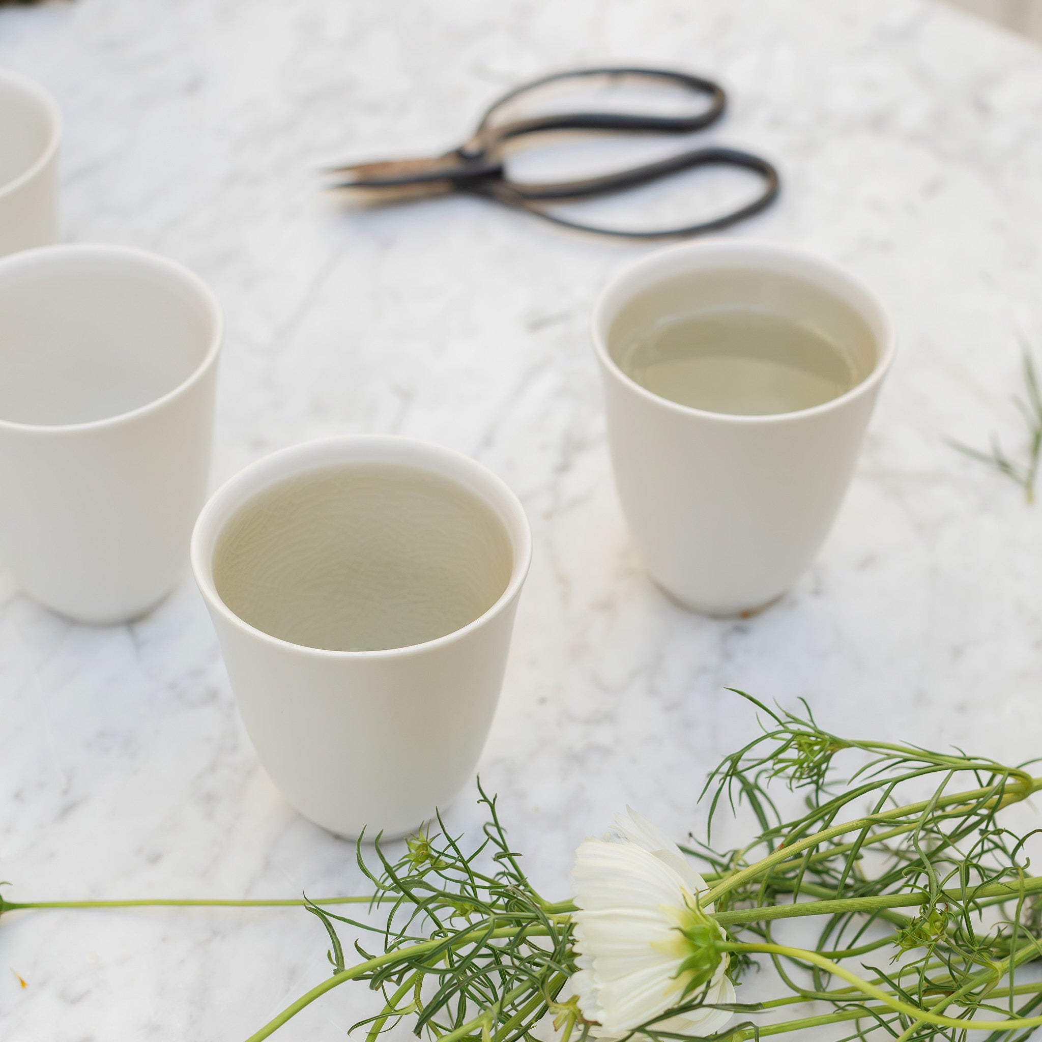 Marta_Puglia_JARS_2024_020.jpg