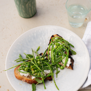 Assiette Tourron Opale