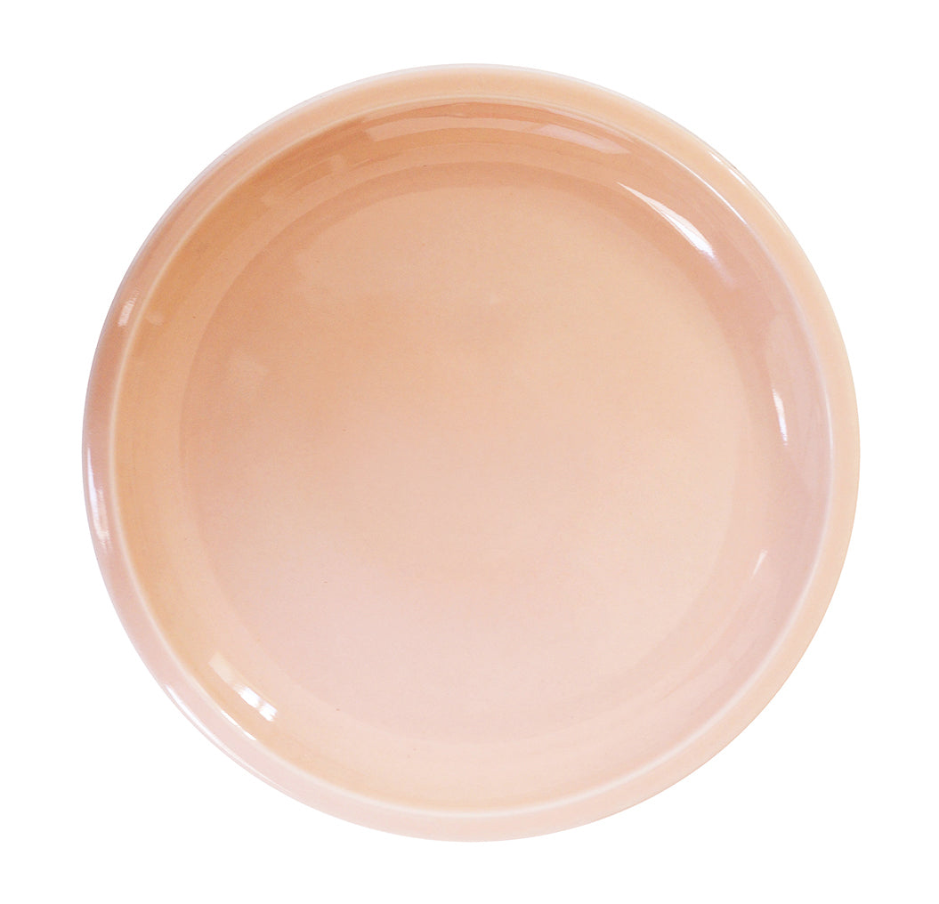 assiette-presentation-cantine-rose-packshot.jpg