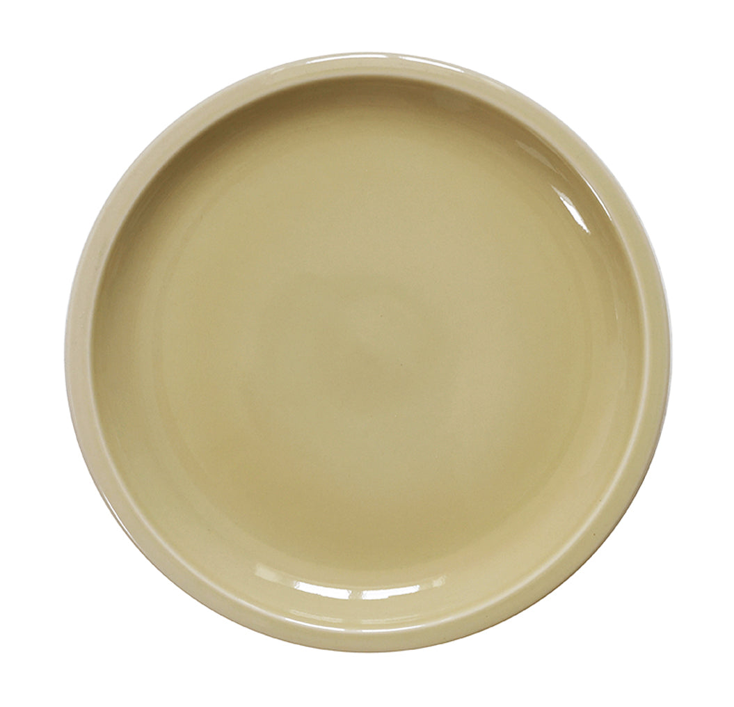 assiette-presentation-cantine-vert-packshot.jpg