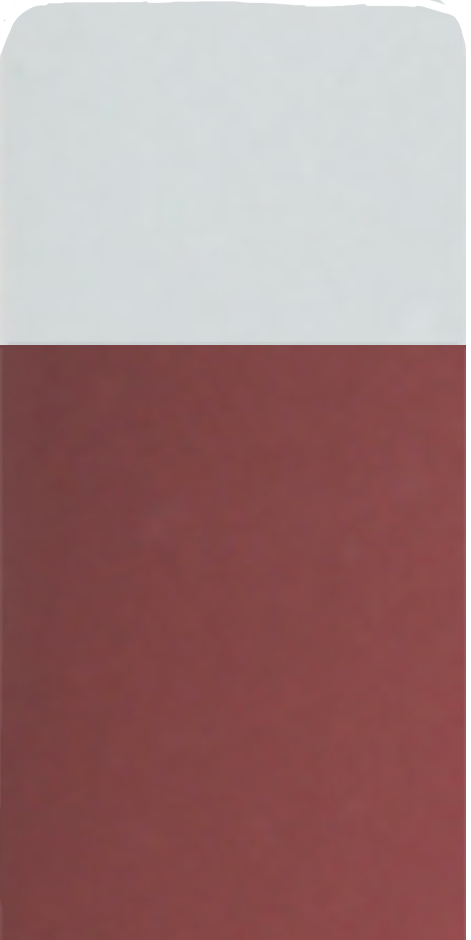 Image to render