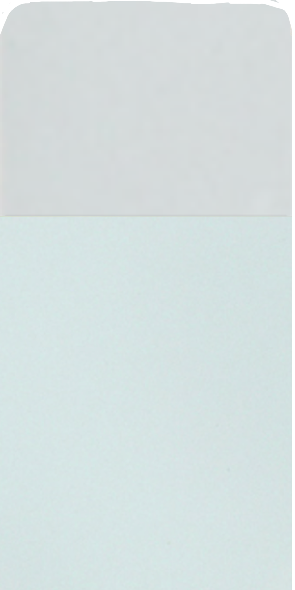 Image to render