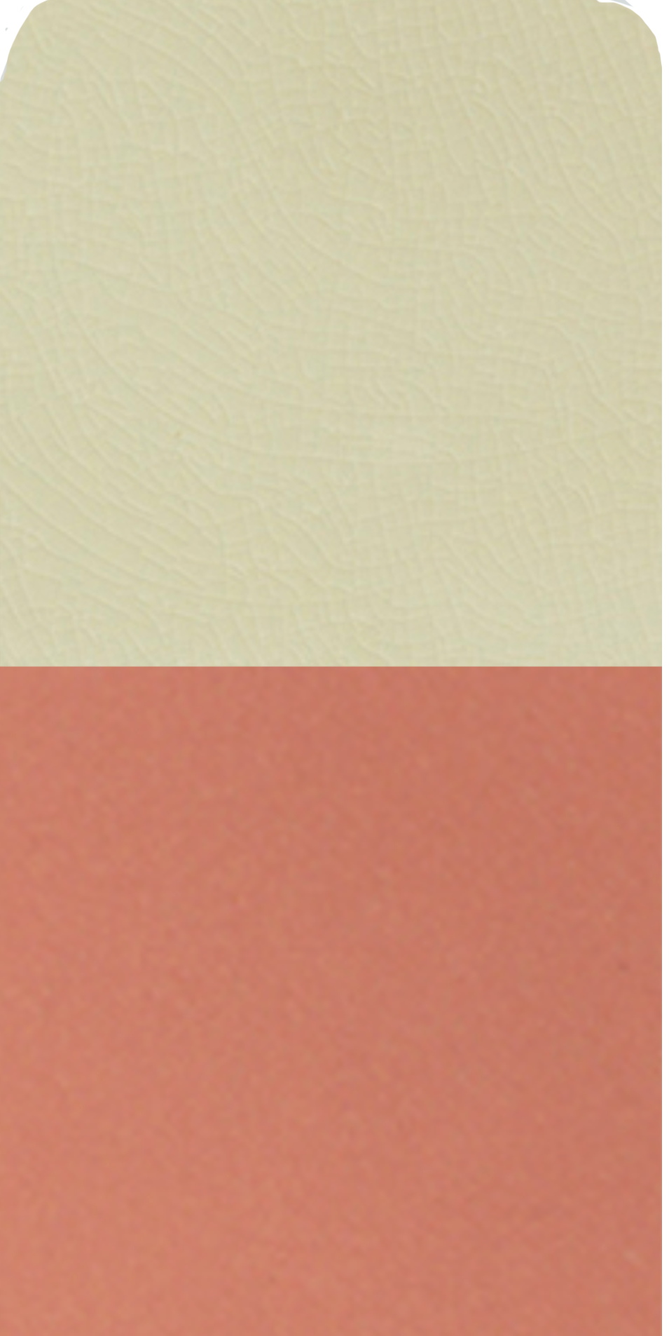 Image to render
