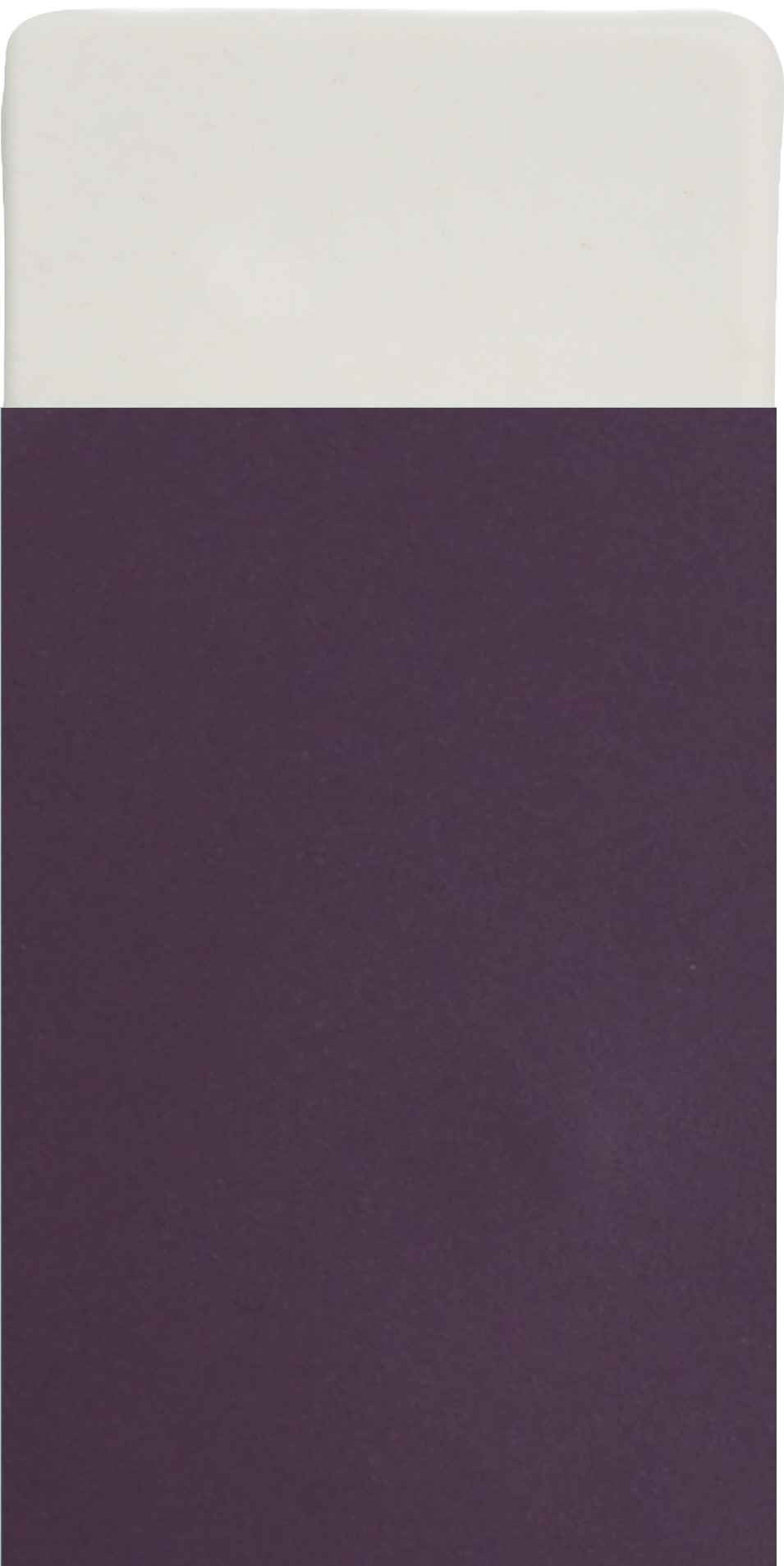 Image to render