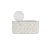 shell lamp