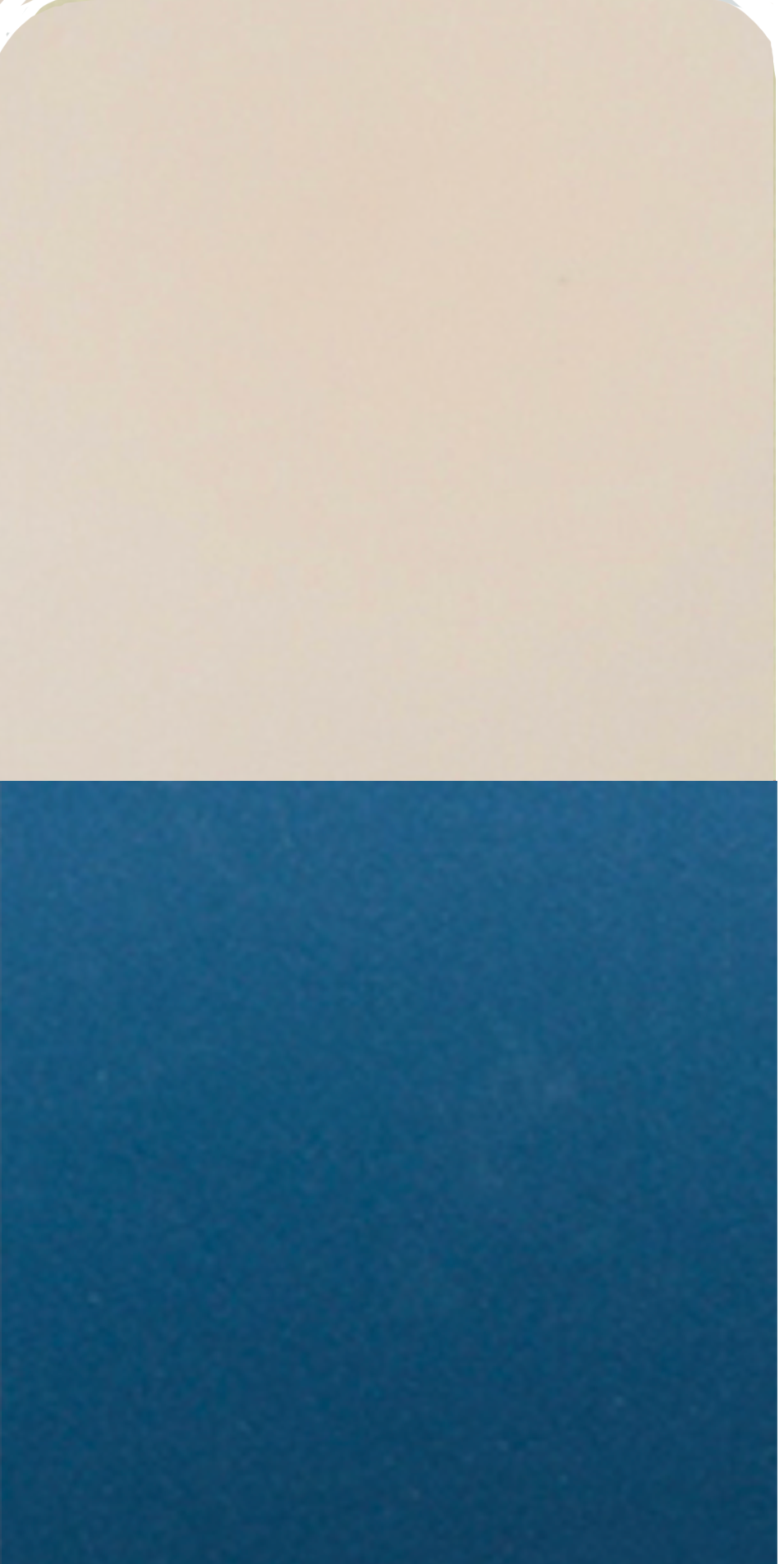 Image to render