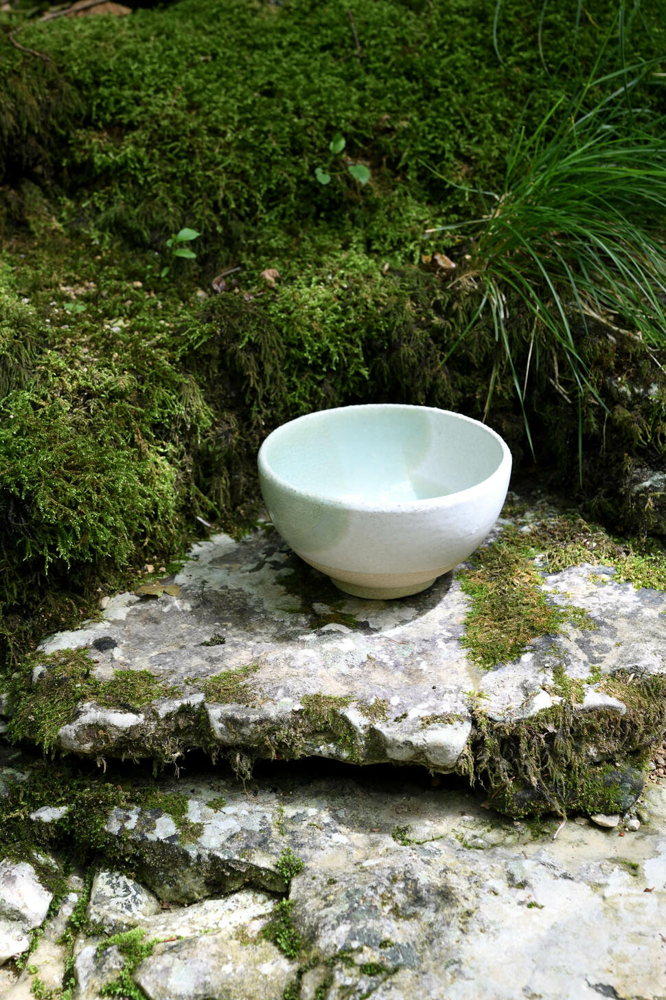 wabi_2331 wabi_2331