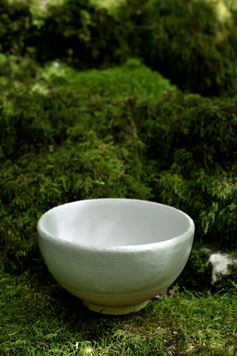 wabi_2318 wabi_2318