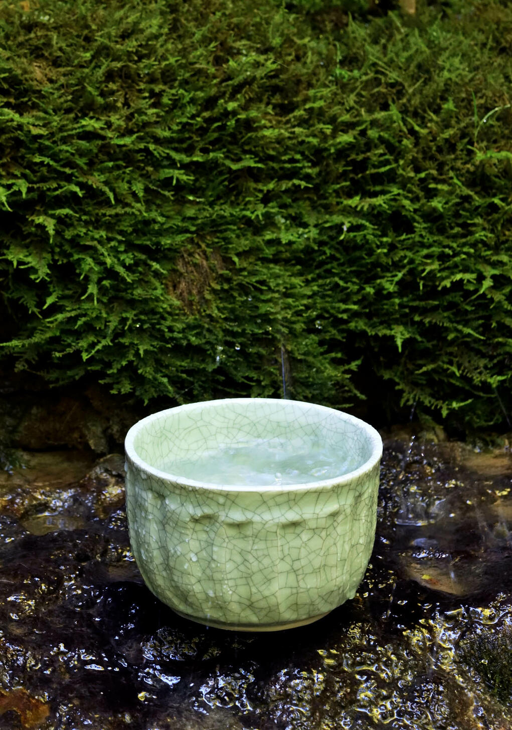 dashi_2190 dashi_2190
