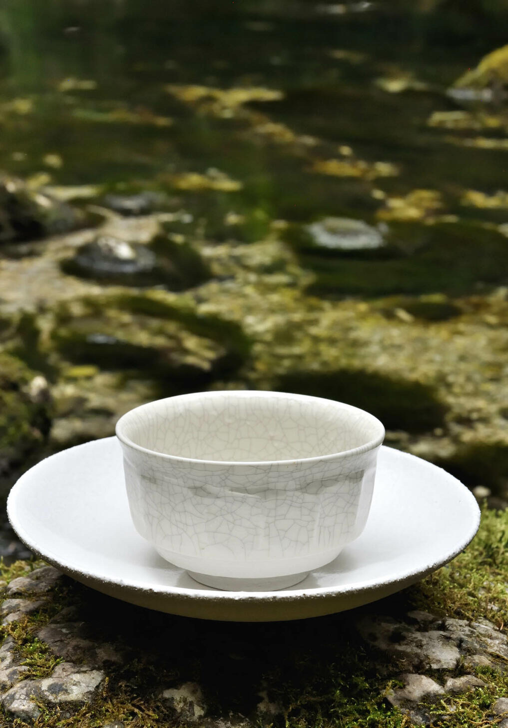 dashi_2227 dashi_2227