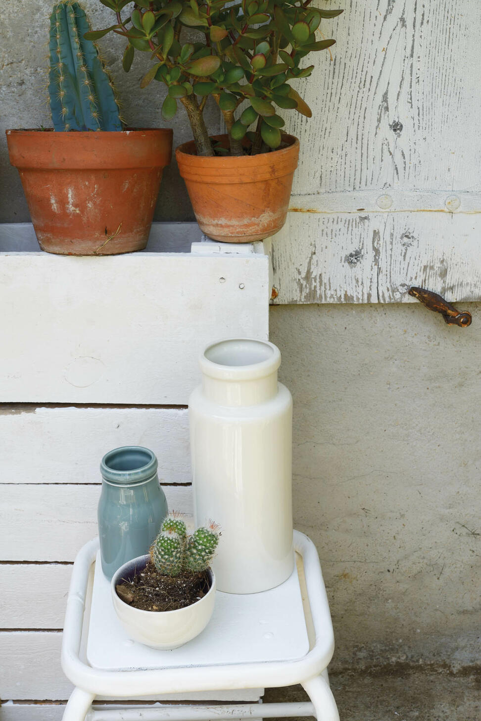 vases_cactus6429 vases_cactus6429