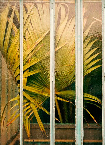 PALM_jars PALM_jars