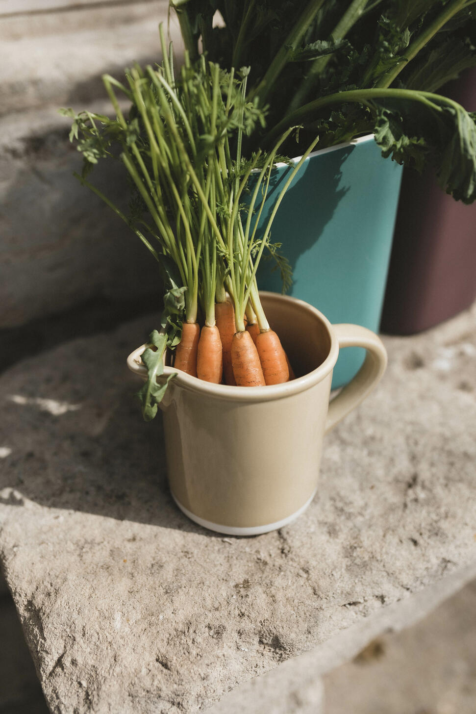 pitcher m cantine vert argile ceramic manufacturer