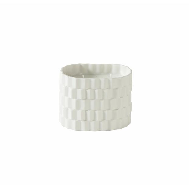 CANDLE SILLAGE COQUILLAGE