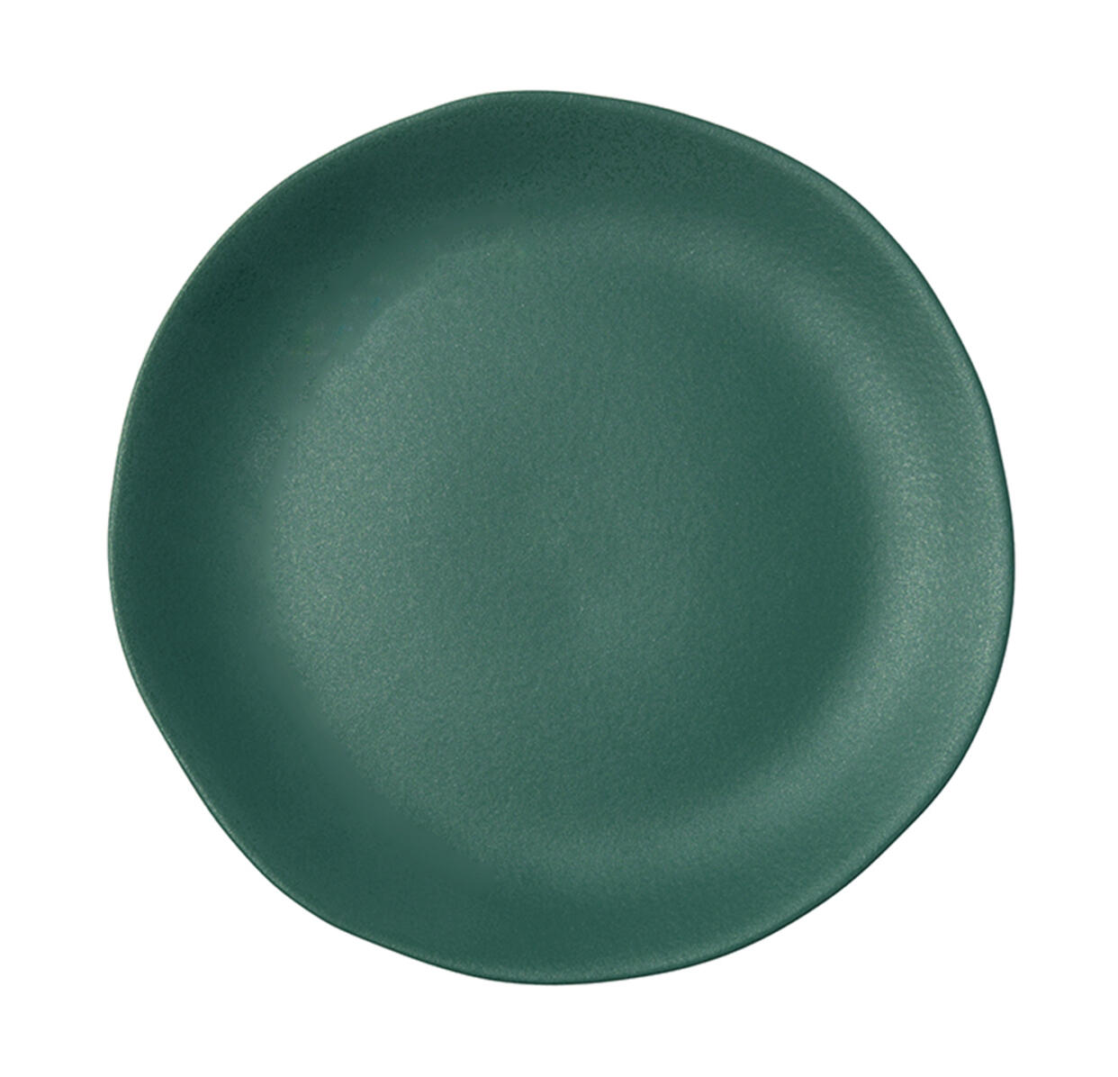 assiette-plate-jardin-de-maguelone-poireau-962395 assiette-plate-jardin-de-maguelone-poireau-962395