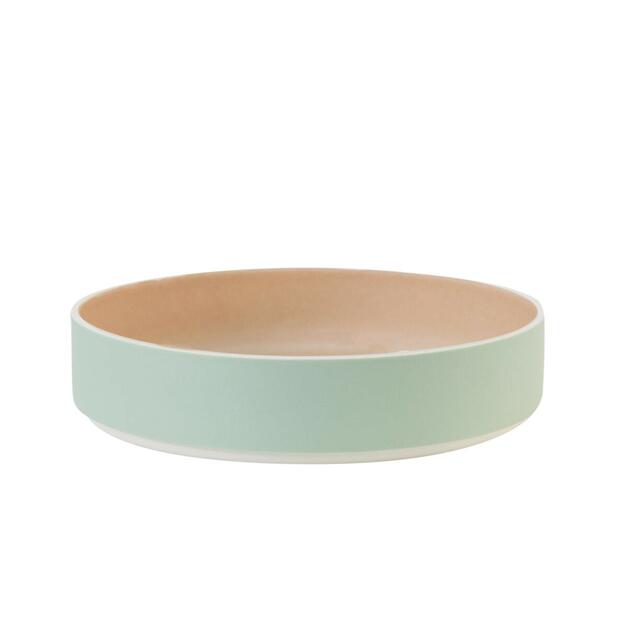 dish l studio 2.0 blush.céladon ceramic manufacturer